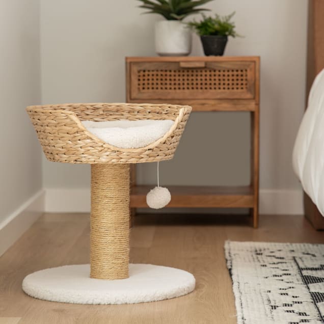 Harry Barker Cat Scratching Post with Wicker Bed Medium Petco
