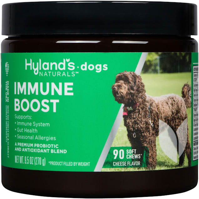 Hyland's Naturals Immune Boost Soft Dog Chews, 9.5 oz., Count of 90 - Carousel image #1