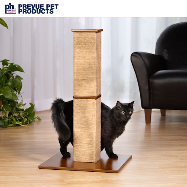 The best scratching post 2025 for cats
