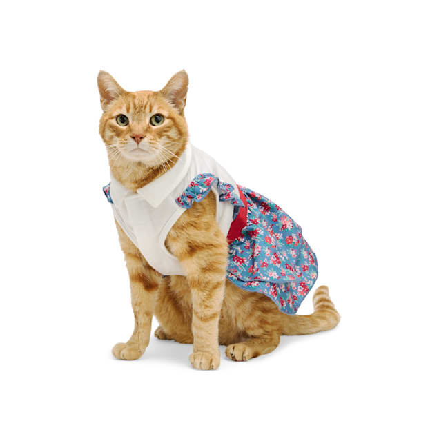 Youly Floral Suspender Cat Dress Small Medium Multi