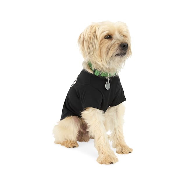 Security dog coat on sale
