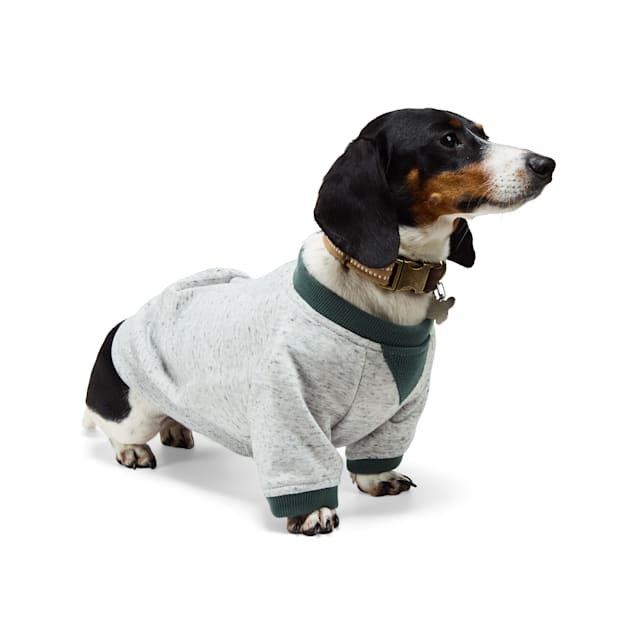 Petco dog sweaters and coats sale