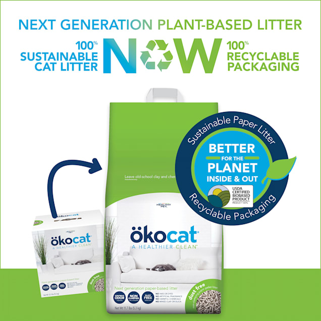 Okocat litter petco shop