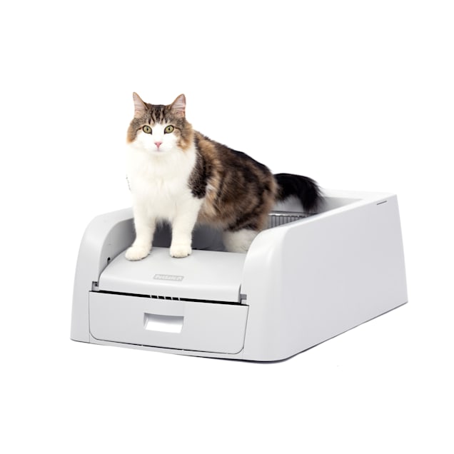 Petco automatic sale litter box