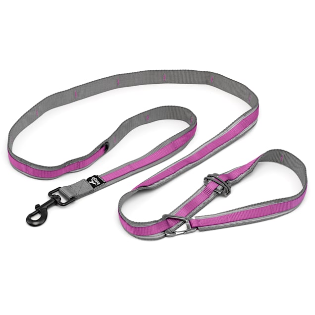 Kurgo 2.0 Quantum Dog Leash, Purple, 6 ft. Long, 1 in. Wide - Carousel image #1