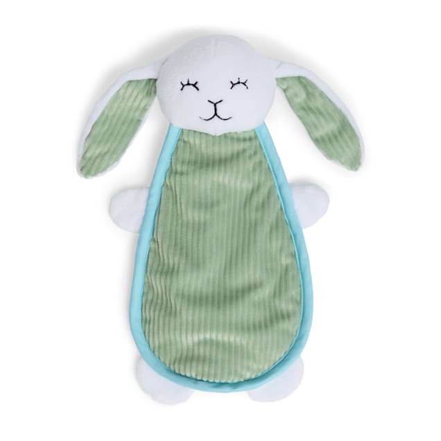 Bunny toys petco hot sale