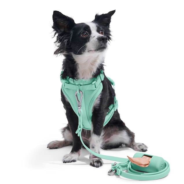Leash and harness in one top