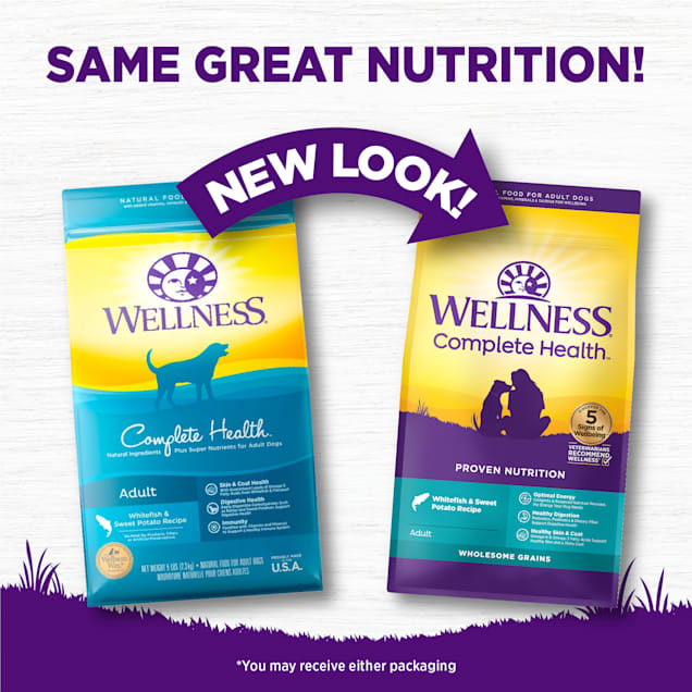 Wellness whitefish and sweet potato on sale