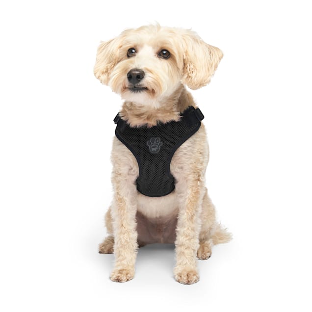 Canada pooch harness small online