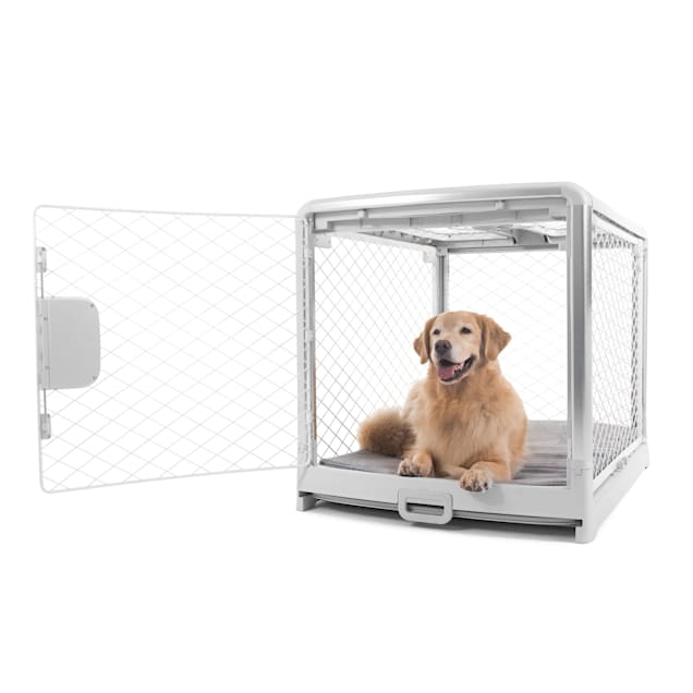 Easy collapsible dog crate deals