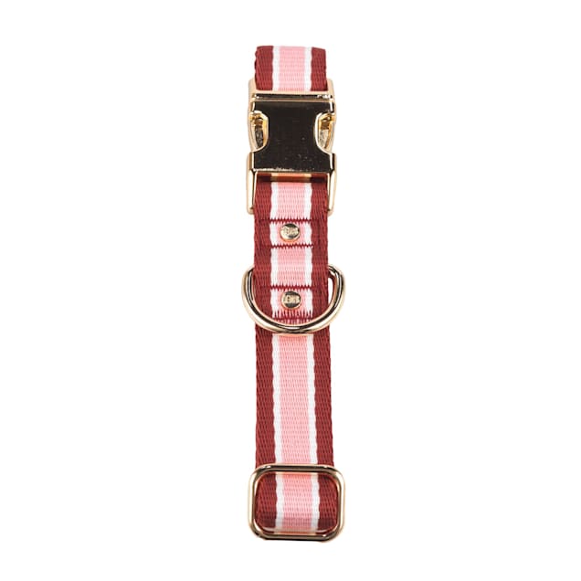 Harry barker collar clearance