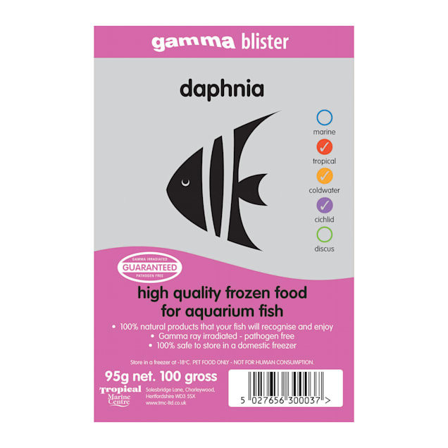 Daphnia petco deals