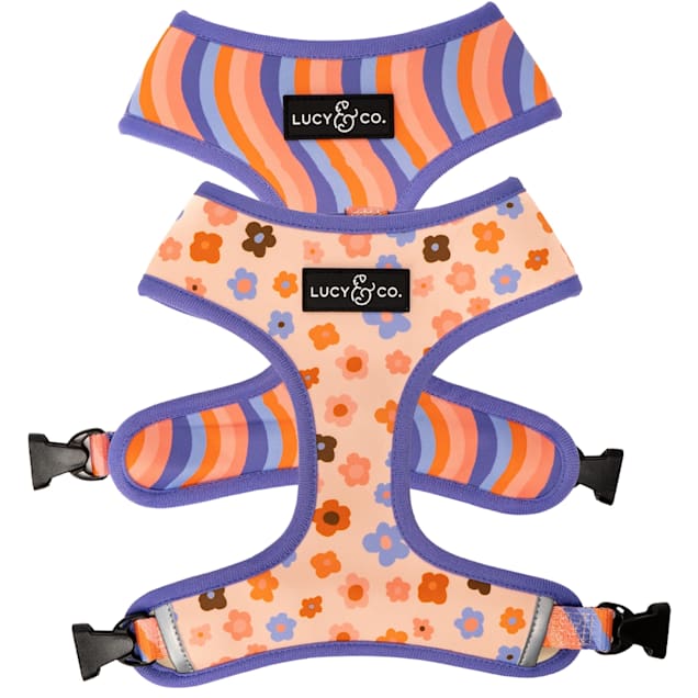 Lucy & Co. Reversible Dog Harness, The Let's Groove, Medium - Carousel image #1