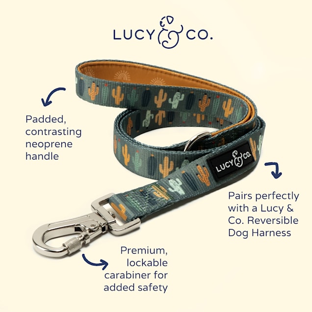 The collar and leash company sale