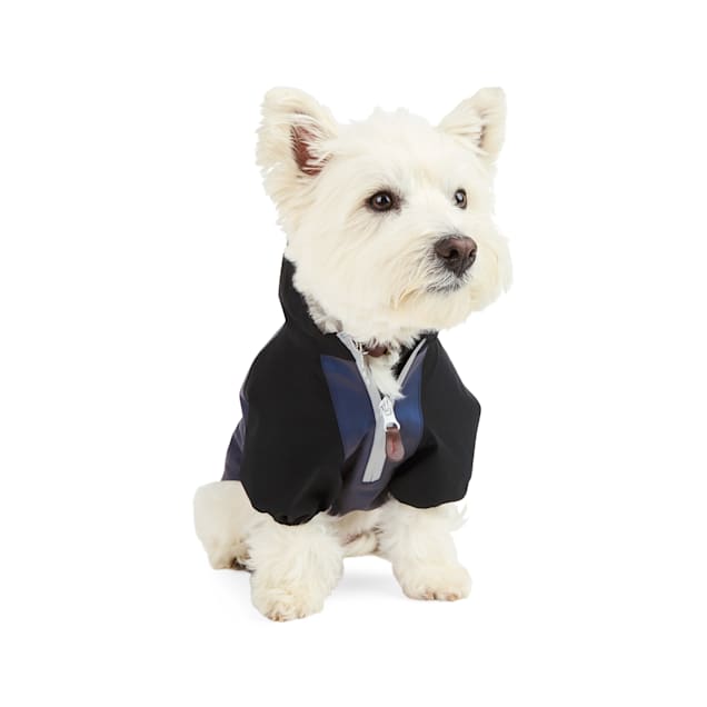 Reddy dog raincoat cheap