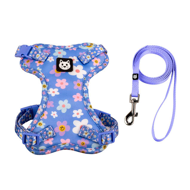 Cat harness and leash petco top