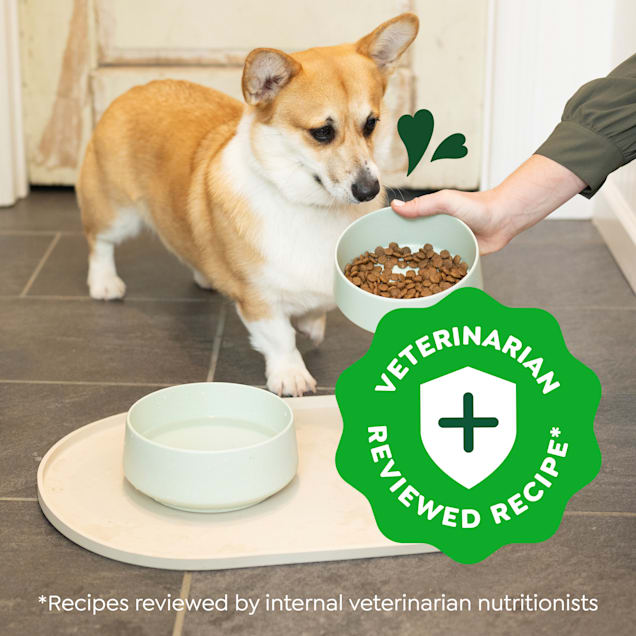 Greenies SMART ESSENTIALS High Protein Real Chicken & Rice Recipe Small Breed Adult Dry Dog Food, 5.5 lbs. - Carousel image #1