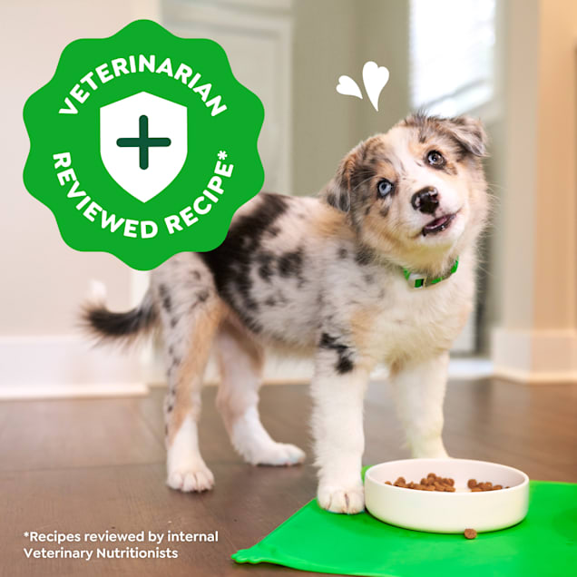 Greenies SMART ESSENTIALS High Protein Real Chicken & Brown Rice Recipe Dry Puppy Food, 27 lbs. - Carousel image #1