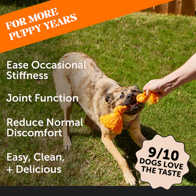 Fish oil and glucosamine for dogs shop