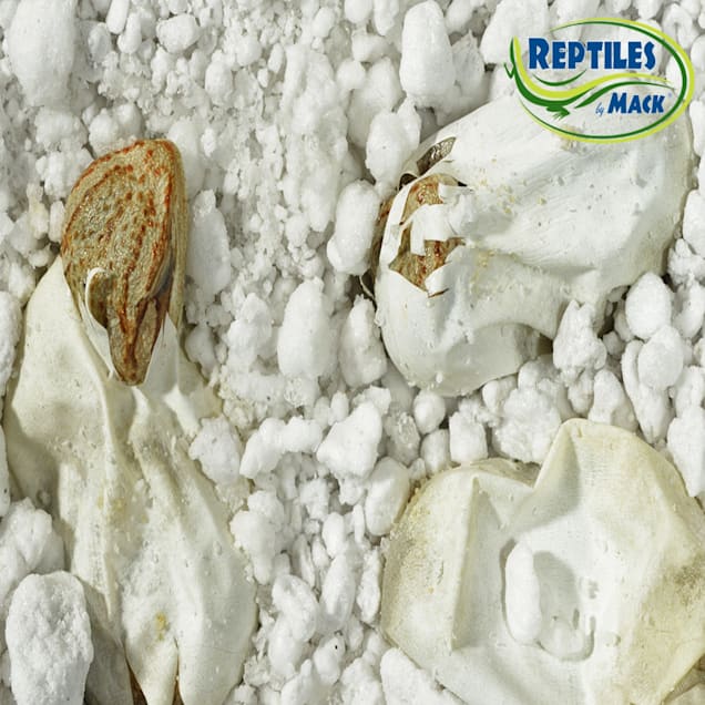HatchRite Reptile Incubation Substrate, 2 lbs. | Petco