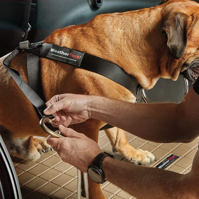 WeatherTech XX Small Pet Safety Harness Seat Belt