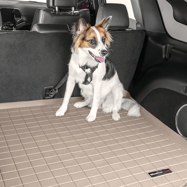 Dog car harness petco outlet
