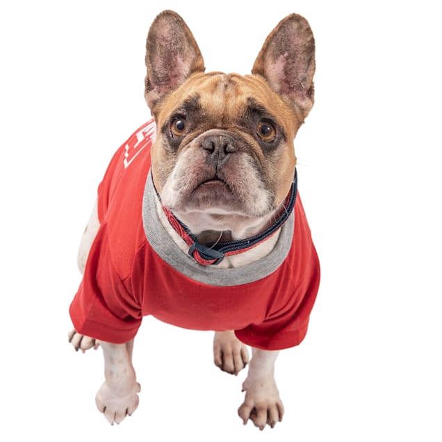 Petco dog apparel new arrivals
