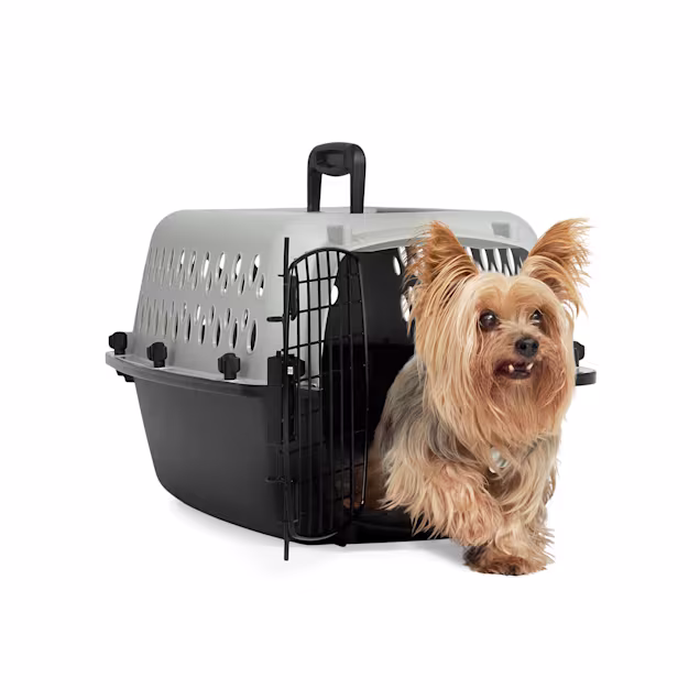 EveryYay Portable Plastic Pet Kennel, 19" L X 13" W X 11" H, Grey - Carousel image #1