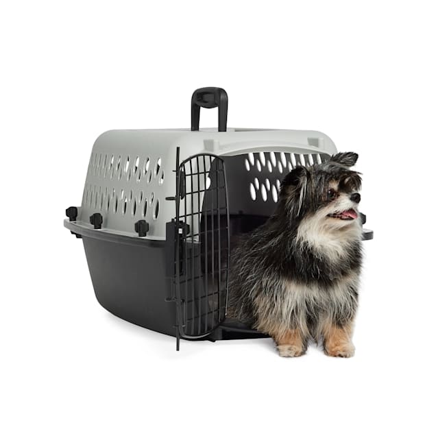 EveryYay Portable Plastic Pet Kennel 19 L X 13 W X 11 H Grey Petco