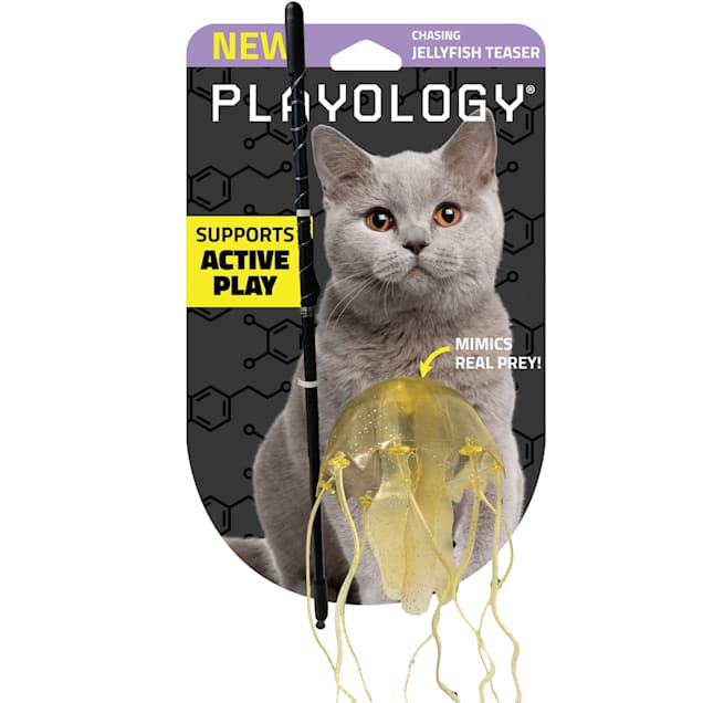 Petco interactive cat toys cheap