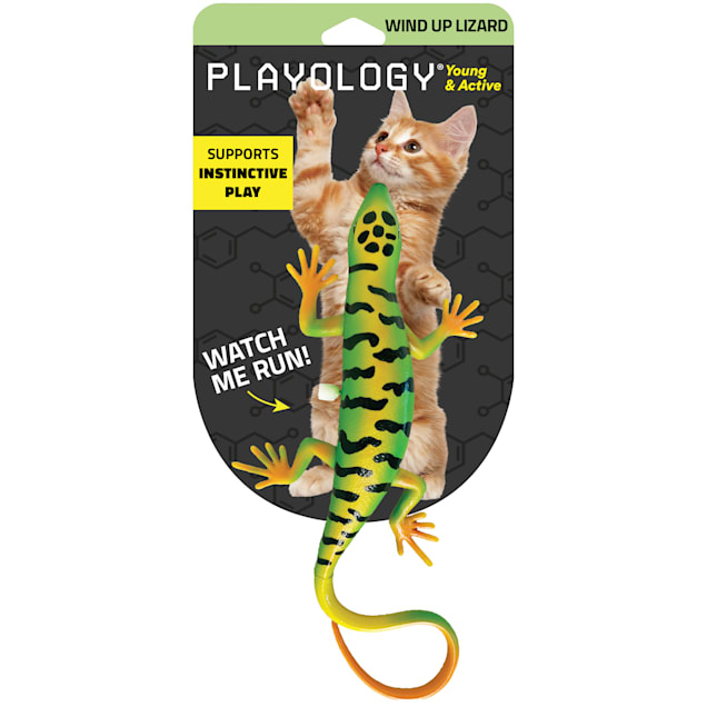 Playology Windup Lizard Cat Toy, Small | Petco