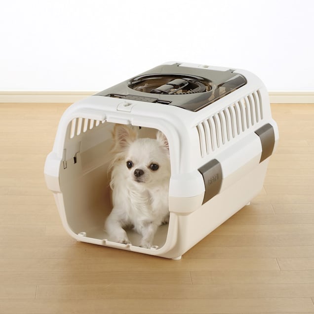 Richell Double Door Small Pet Carrier White Brown