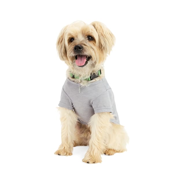 Youly Vote Dog T Shirt X Large Gray
