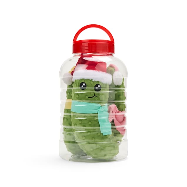 Water bottle dog toy petco outlet