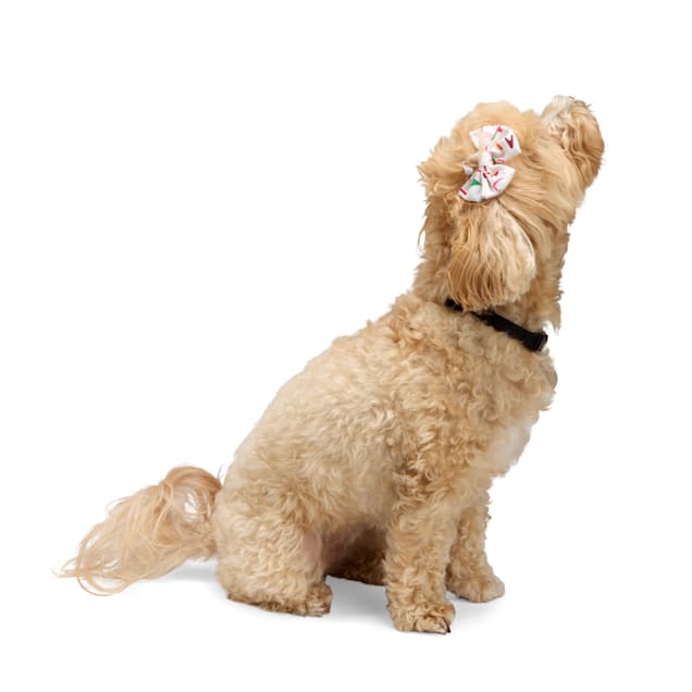 Merry Makings Hair Accessory for Dogs Pack of 2
