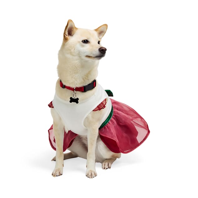 Merry Makings Santa Baby Dress for Pets XX Small Red Petco