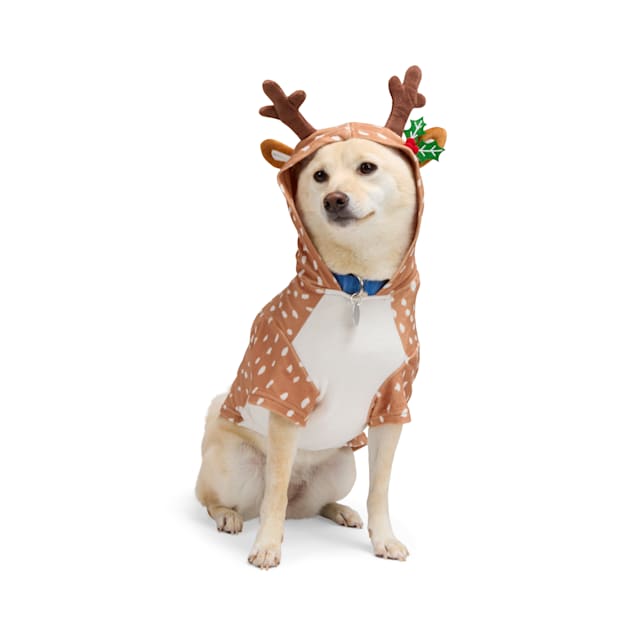 Petco dog christmas outfits sales