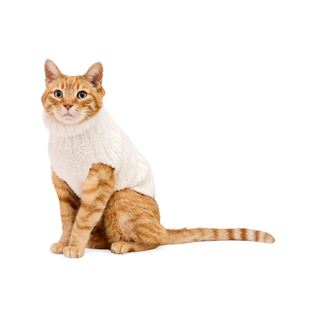 Merry Makings Chunky Knit Sweater for Pets XX Small White Petco