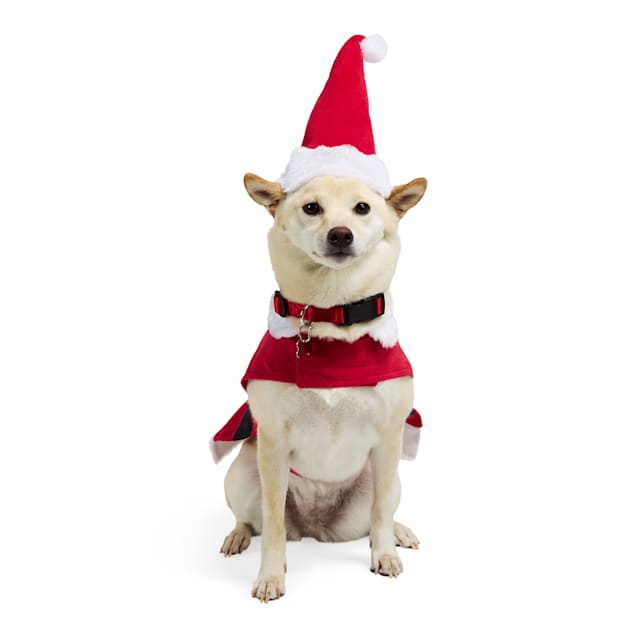 Small dog santa outfit on sale