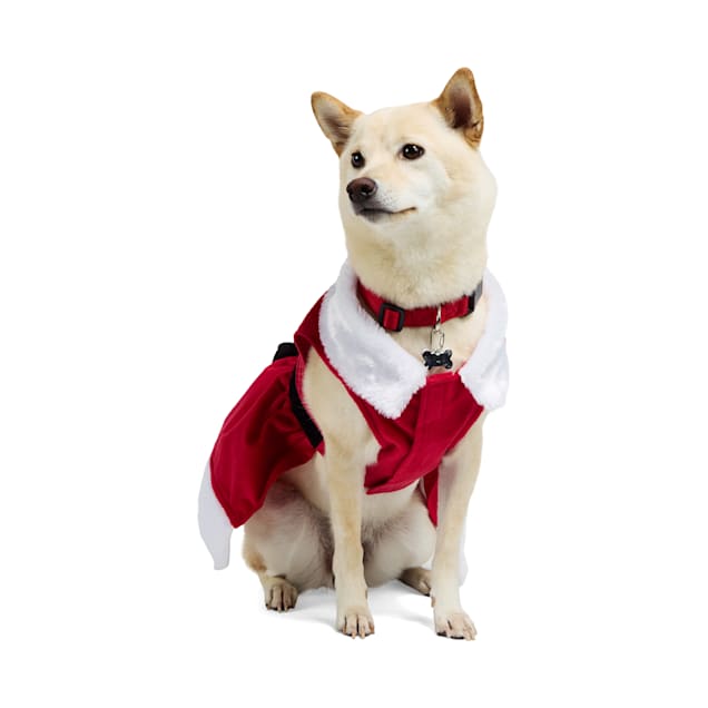 Merry Makings Mrs Claus Costume for Dogs XX Small Red Petco