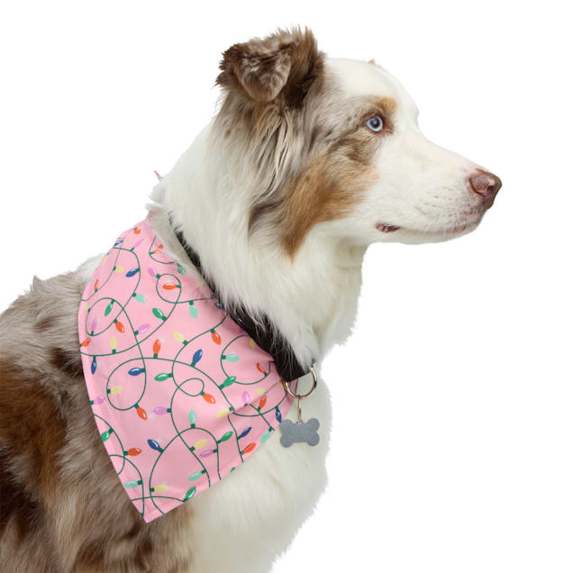 Petco bandana 2025