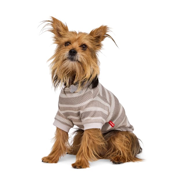 Petco dog shirt clearance