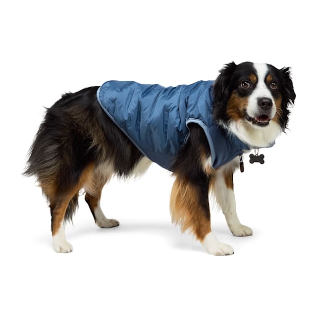 Reddy Quilted Puffer Dog Vest X Small Blue Petco