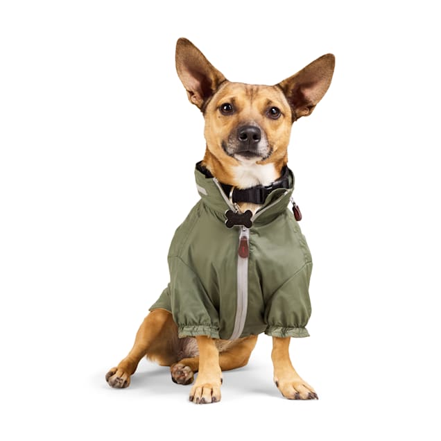 Reddy dog raincoat cheap
