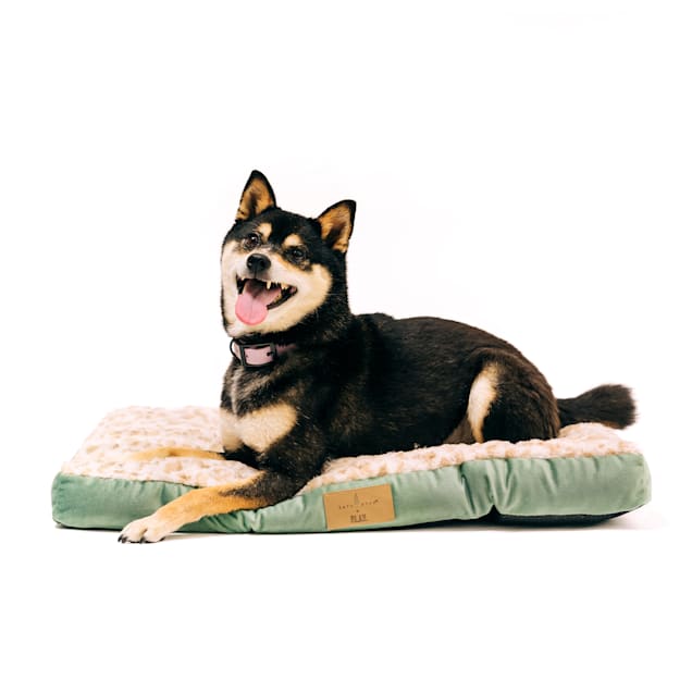 Petco dog pillows store