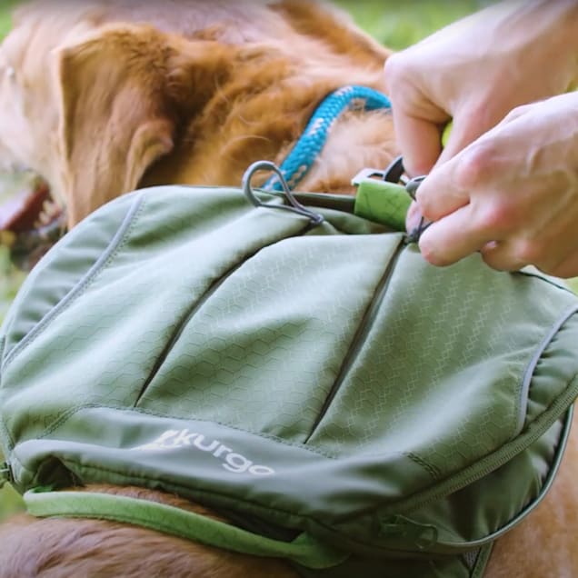 Good2go dog backpack outlet