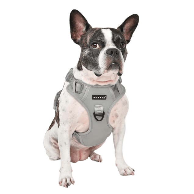 Puppia Jarek Dog Harness H, Gray, 3X-Large - Carousel image #1