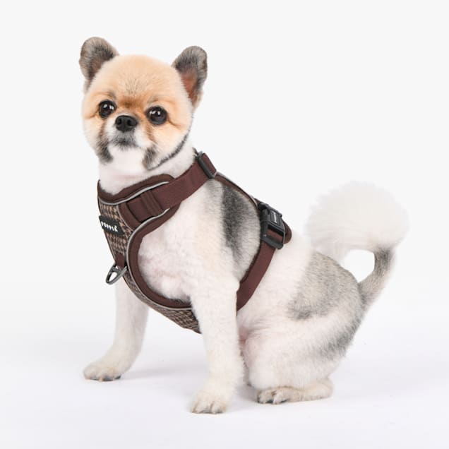 Petco small dog harness deals