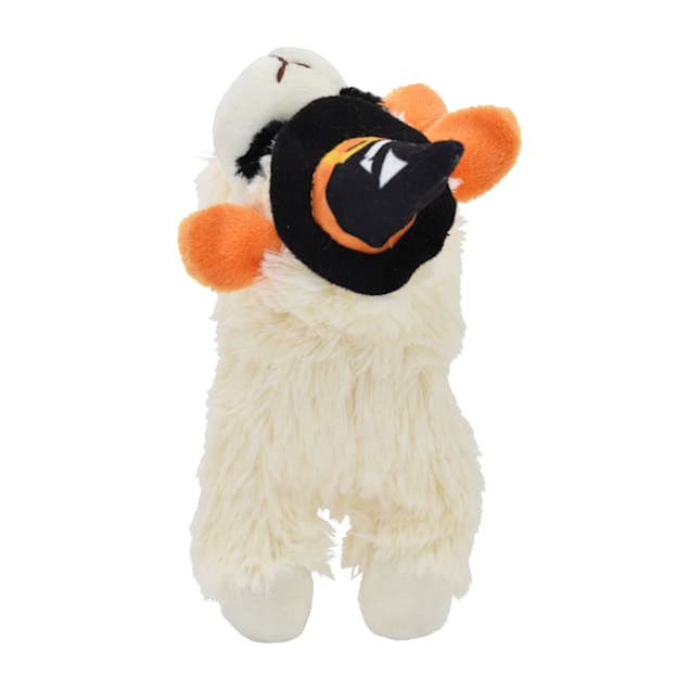 Multipet International Halloween Lamb Chop with Jack O Lantern Witch Hat Dog Toy Small