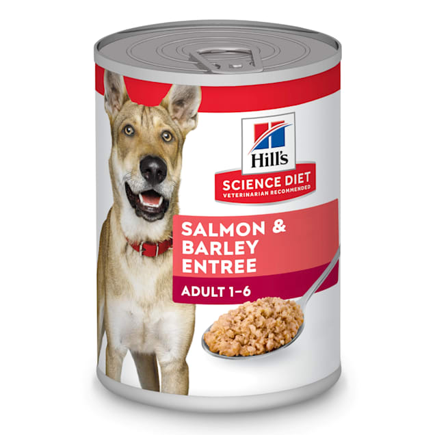 Hill s Science Diet Adult Salmon Barley Entree Canned Dog Food 13 oz. Case of 12